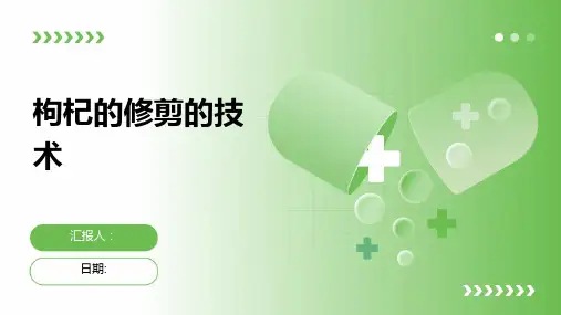 枸杞的修剪的技术