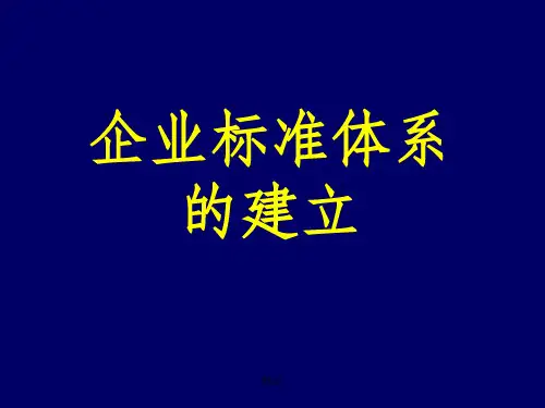 企业标准体系的建立