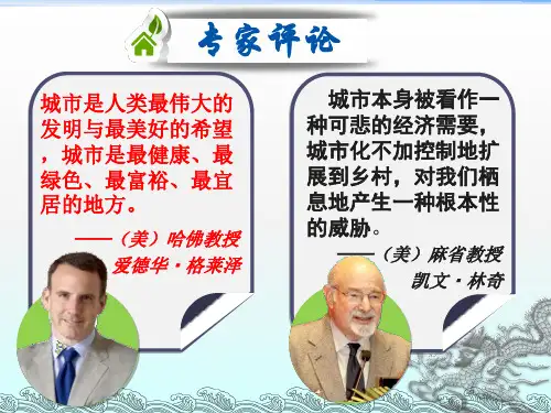 湘教版高中地理必修二第二章第三节《城市化过程对地理环境的影响》课件