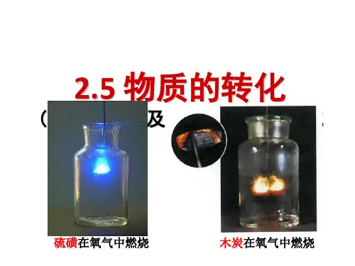 浙教版九年级科学上册2.5_物质的转化(1)