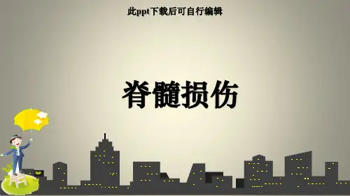 脊髓损伤ppt课件