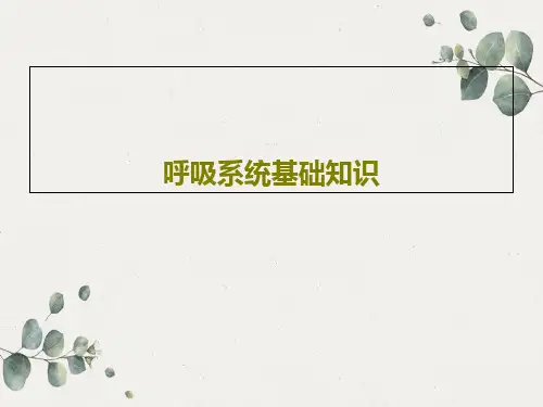 呼吸系统基础知识共81页