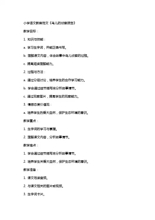 小学语文教案范文鸟儿的侦察报告