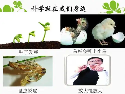 1.1科学并不神秘新浙教版