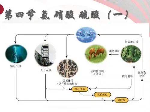 高中化学_4.4.1《氨》课件人教版必修一