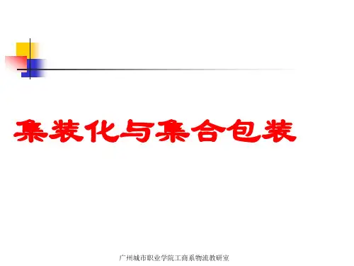 集装化与集合包装