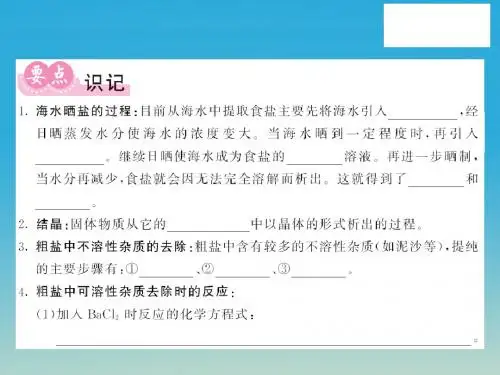 九年级化学下册海水中的化学第2节海水“晒盐”第1课时海水“晒盐”的过程课件(新版)鲁教版