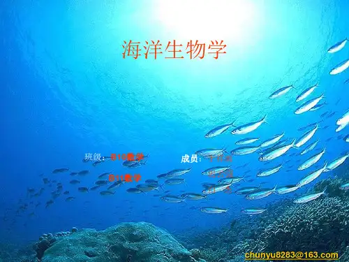 海洋生物—几种鱼类