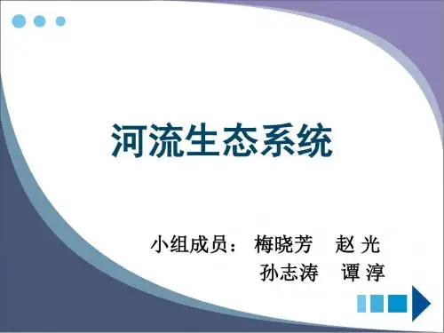 河流生态系统