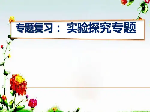 2011中考化学探究题专题复习课件