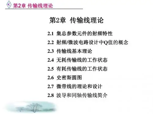 第2章 传输线理论-精选文档