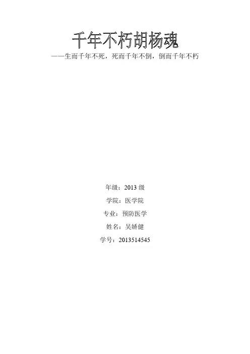 千年不朽胡杨魂
