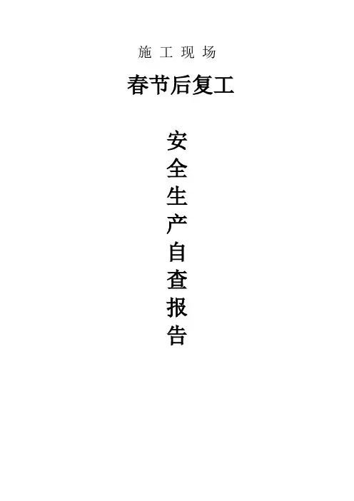 春节后复工安全生产自查报告