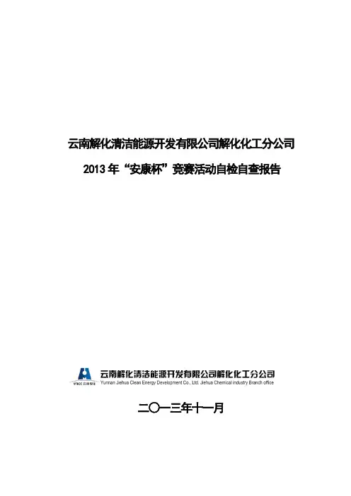“安康杯”工作自检自查报告