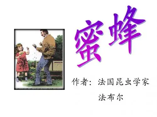 部编最新人教版小学三年级语文上册《蜜蜂》精品课件4 (1)