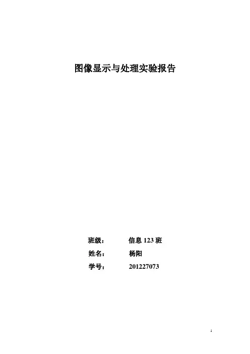 图像显示与处理实验报告