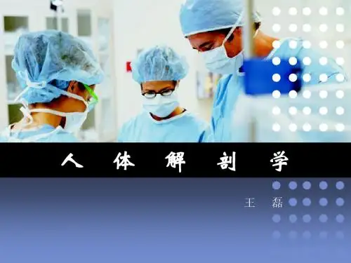 端脑系统解剖学课件