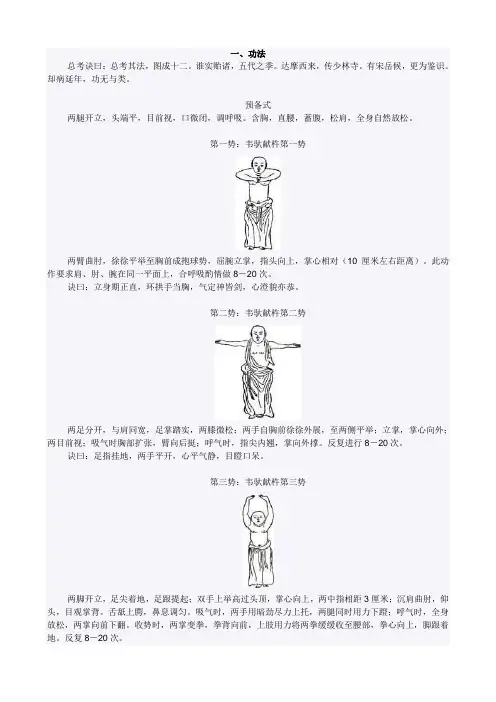 《少林易筋经》十二势图解解析