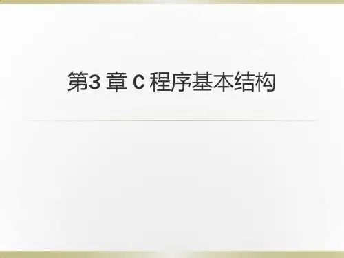 3 章 C 程序基本(续)