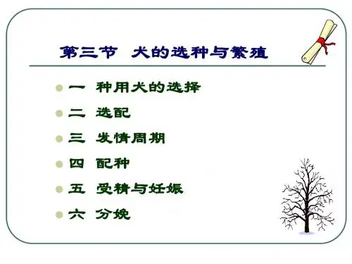 特种经济动物生产学 第三节 犬的选种与繁殖