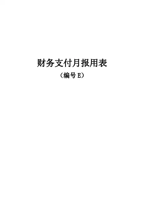 杭州无人超市基本表格及用表说明(E表)教学内容