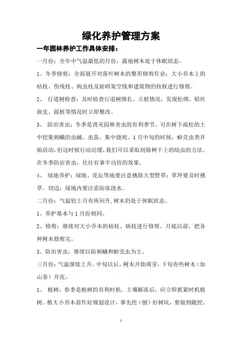 园林一年园林养护工作