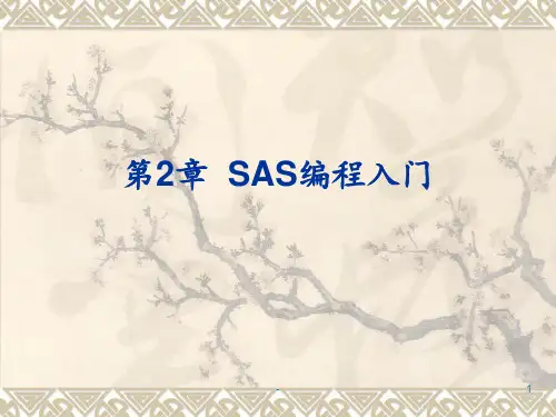 《SAS编程入门》PPT课件