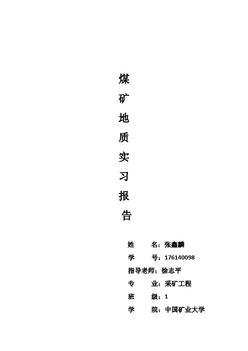 矿井地质实习报告
