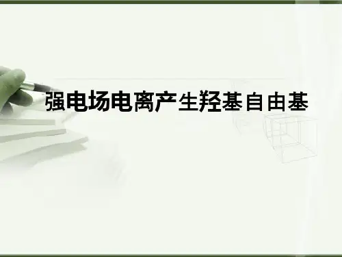 强电场电离产生羟基自由基ppt课件