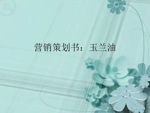 玉兰油营销策划书