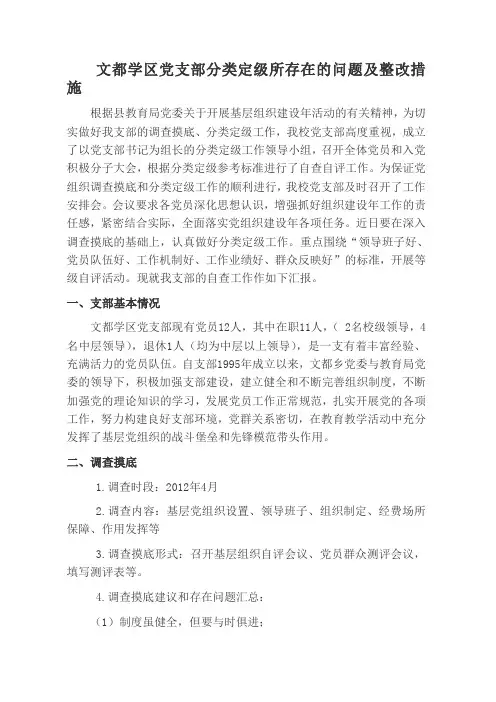 文都学区党支部分类定级所存在的问题及整改措施