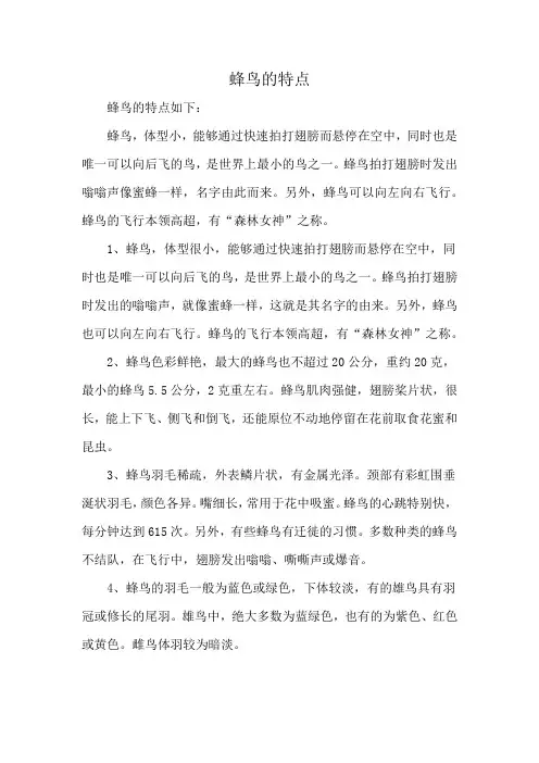 蜂鸟的特点