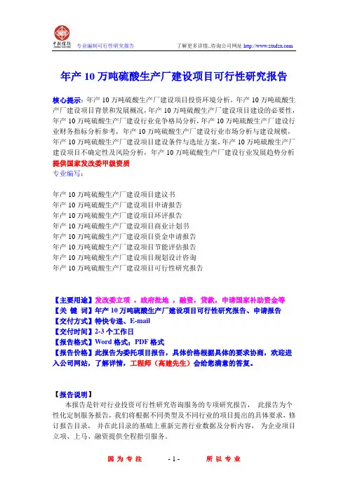 年产10万吨硫酸生产厂建设项目可行性研究报告