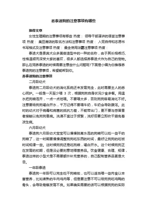养泰迪狗的注意事项有哪些