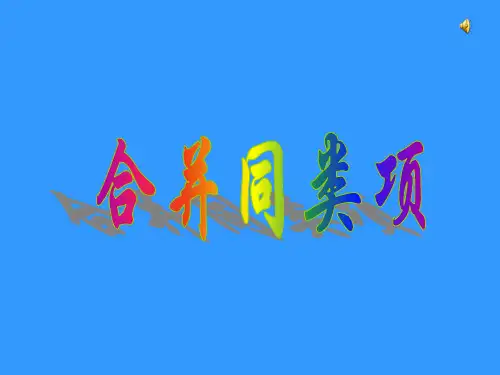 同类项、合并同类项复习课件
