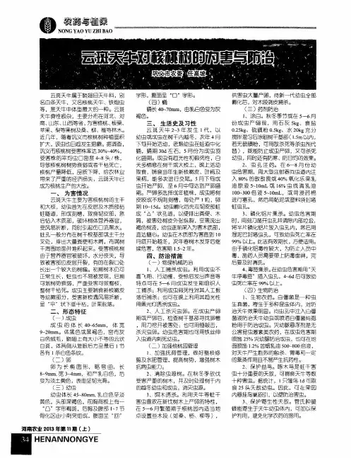 云斑天牛对核桃树的为害与防治