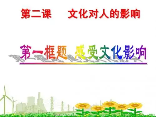感受文化影响