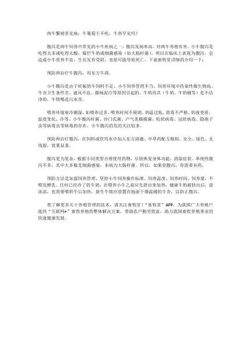 肉牛养殖常见病：牛拉稀不吃食,牛发烧拉稀怎么办？