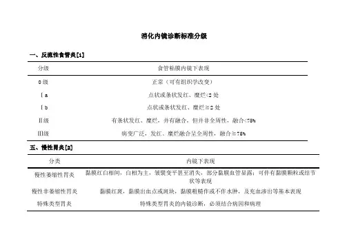 消化内镜诊断标准分级