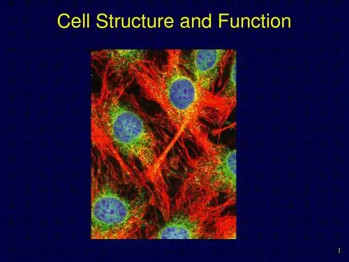 1406CellStructFunct