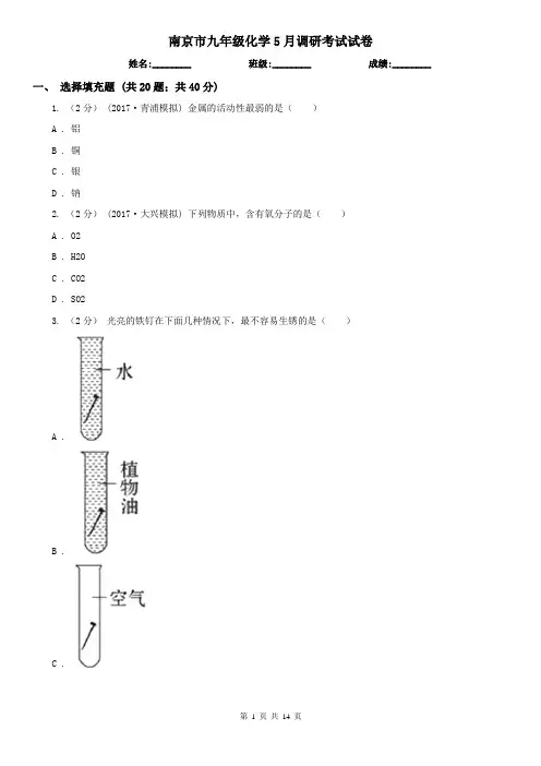 南京市九年级化学5月调研考试试卷