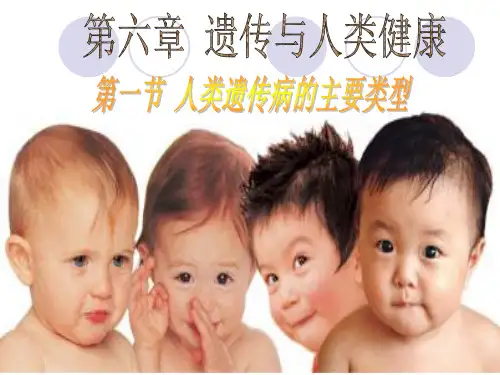 人类遗传病的主要类型日精品PPT课件