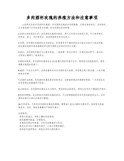 多肉酒杯玫瑰的养殖方法和注意事项