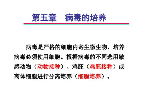 第五章_病毒的培养