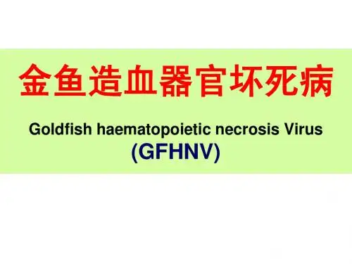江苏-GFHN