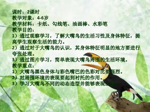 大嘴鸟