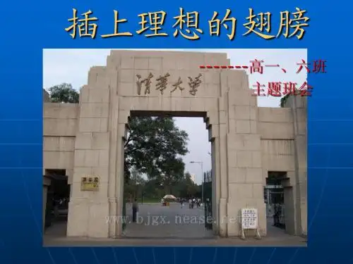 高一插上理想的翅膀主题班会