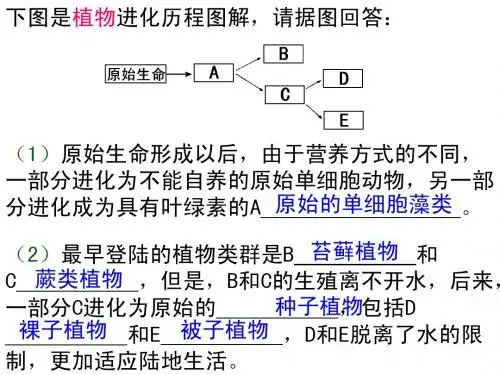 人类的起源