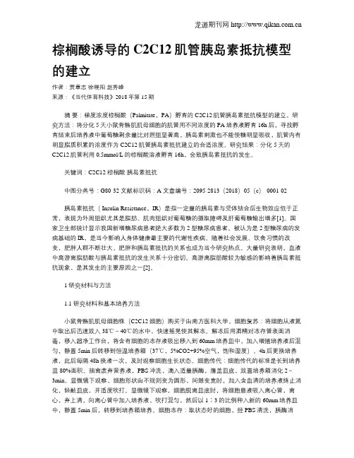 棕榈酸诱导的C2C12肌管胰岛素抵抗模型的建立