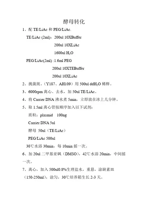 酵母转化